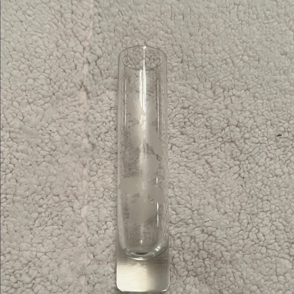 Elegant Clear Glass Vase